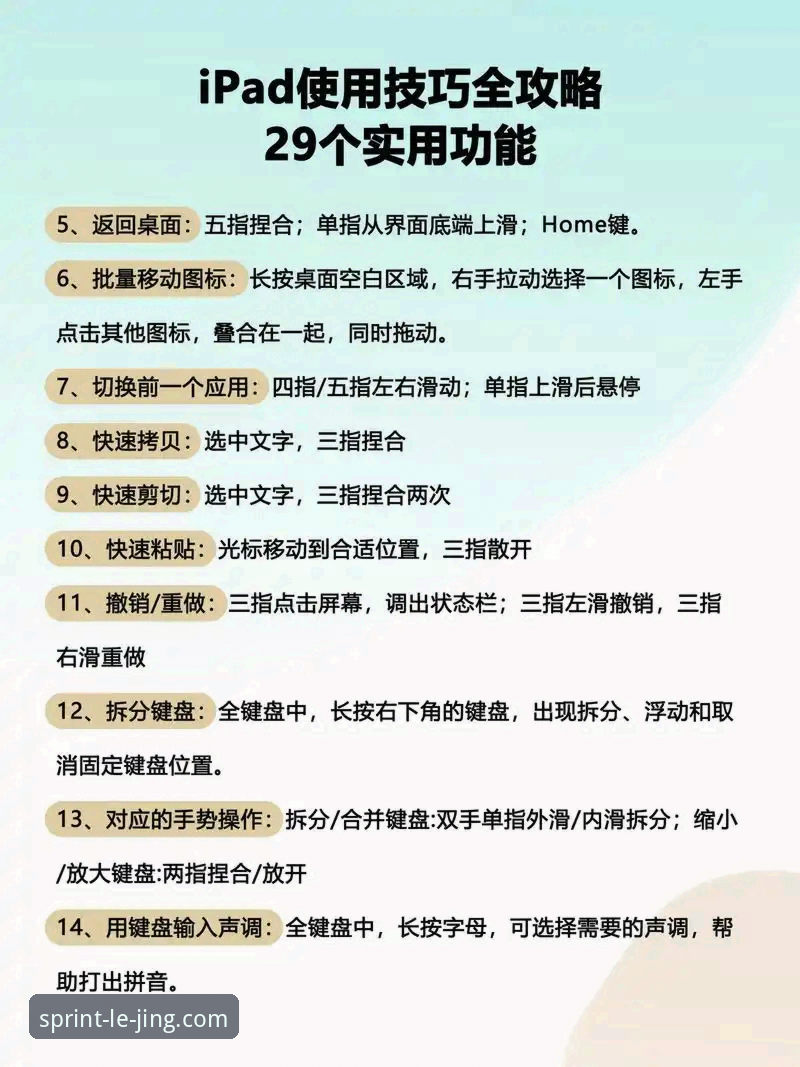 资深用户深度拆解乐竞赛事资讯教程：从入门到精通的实战心得